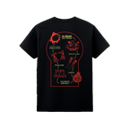 Camiseta Dellafuente 10 años