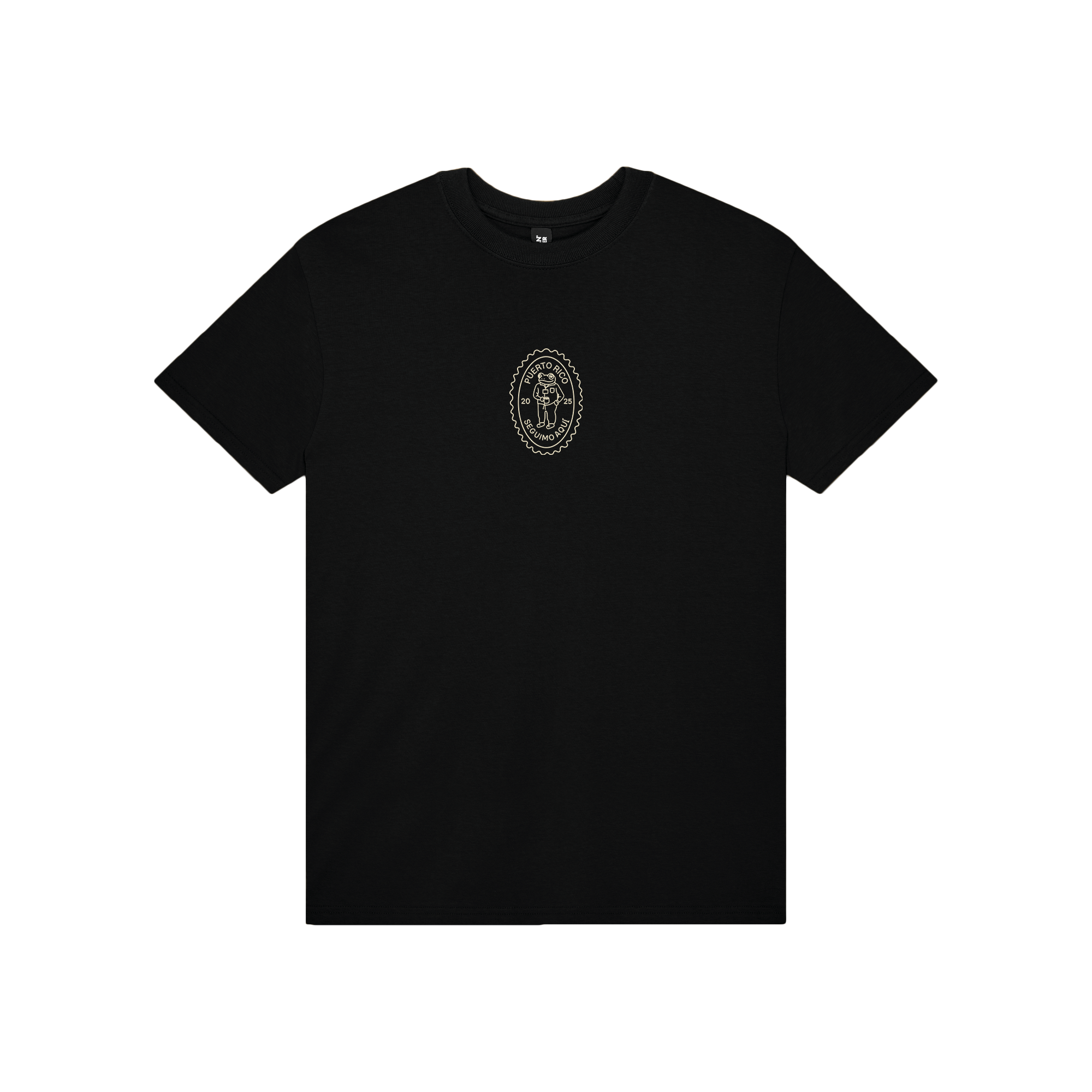 DTMF | BAILE INOLVIDABLE